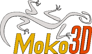 Logo: Modo3D